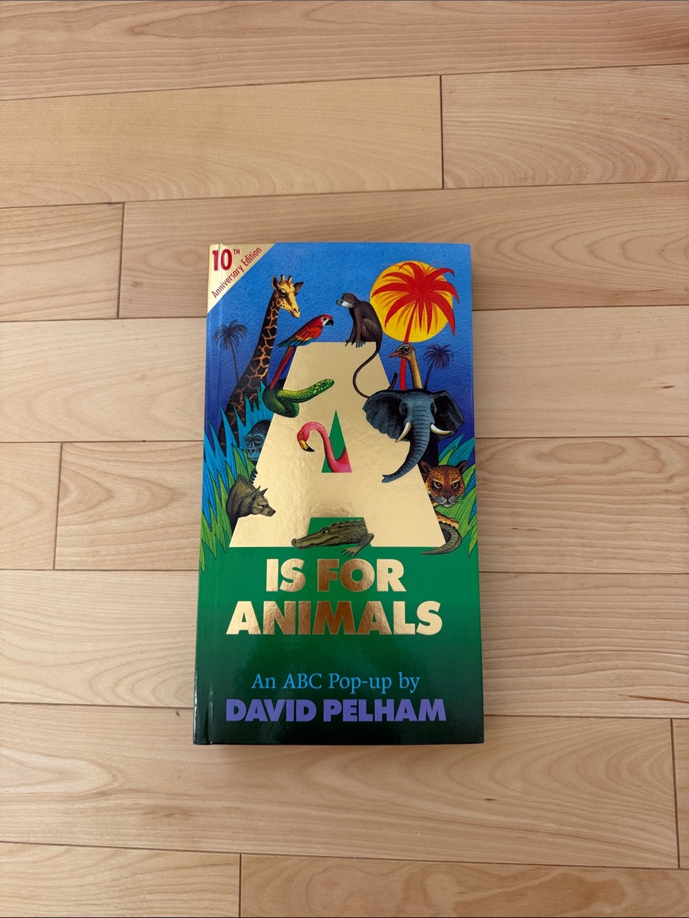 A Is For Animals - Green & Blue Pop-Up ABC Book